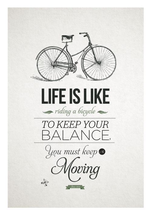 Life Cycle Poster Life Cycle Poster